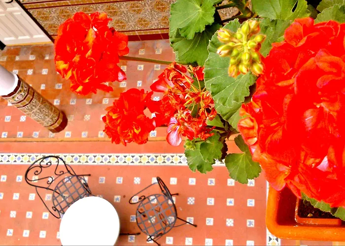 Отель Al Andalus Jerez 2*