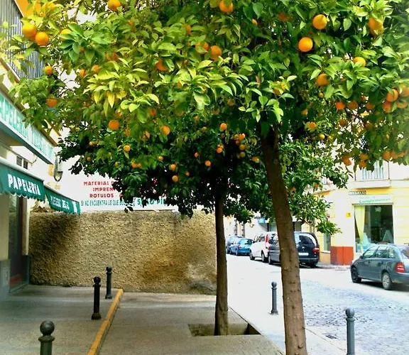 Al Andalus Jerez Отель