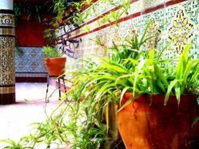 Hotel Al Andalus Jerez