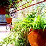 Hotel Al Andalus Jerez